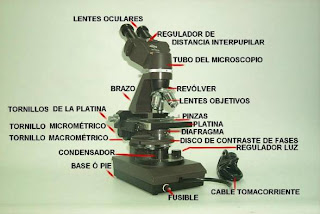 partes del microscopio