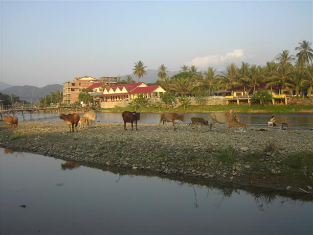 [PICT3629+(Small).JPG]