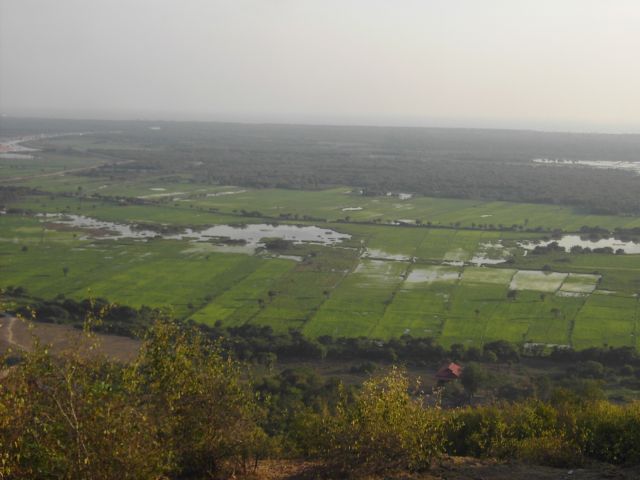 [PICT2101.JPG]