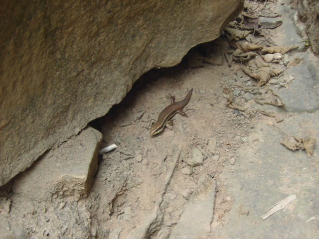 [PICT1822.JPG]