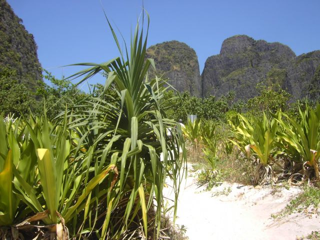 [PICT2976.JPG]