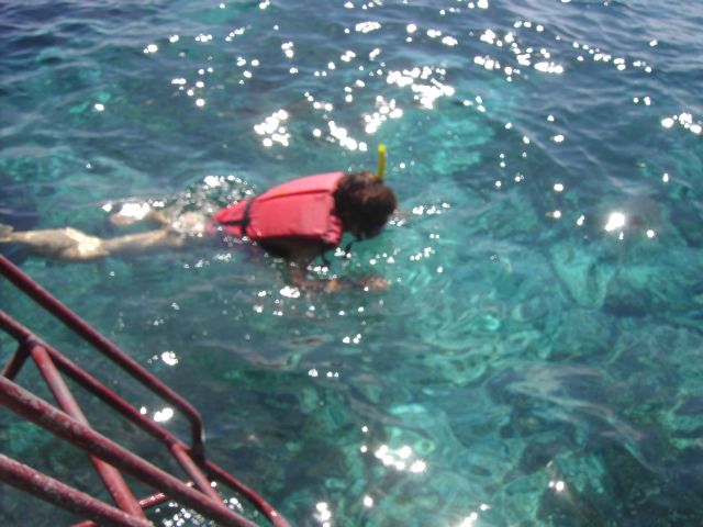 [PICT2948.JPG]