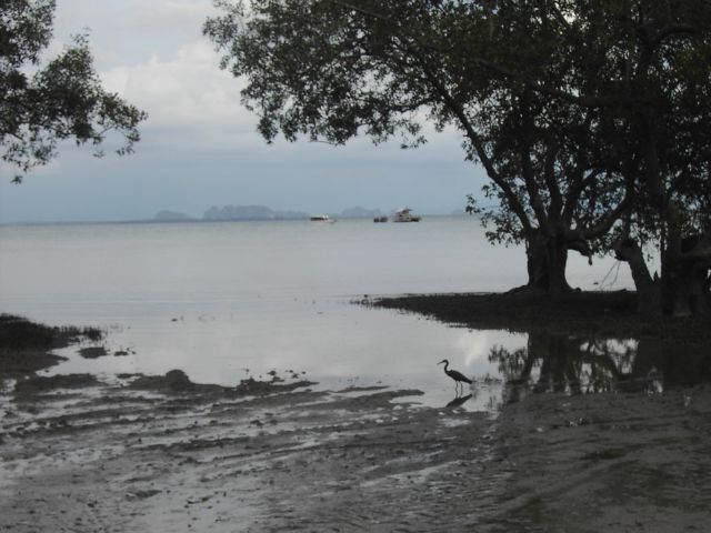 [PICT3257.JPG]