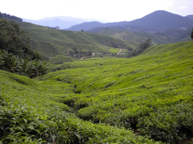 [DSCN0528.JPG]