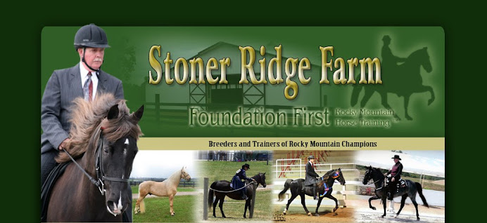 Stoner Ridge Farm Rocky Mountain Horses