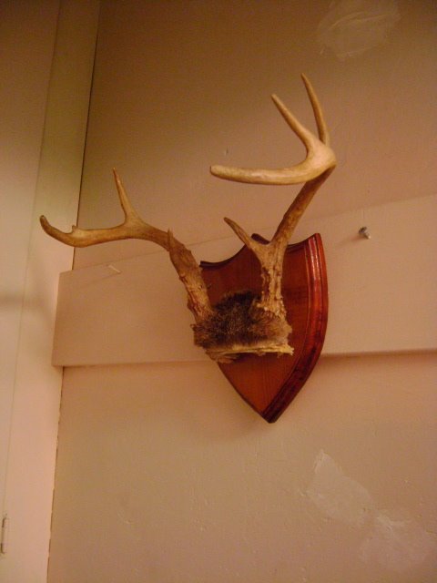 [DSC00895.JPG]