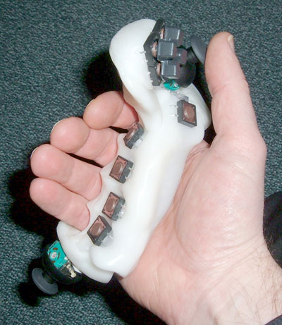 [LEPMIS-big.jpg]
