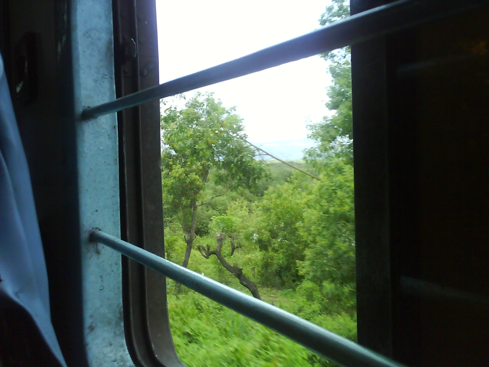 [DSC00190.JPG]