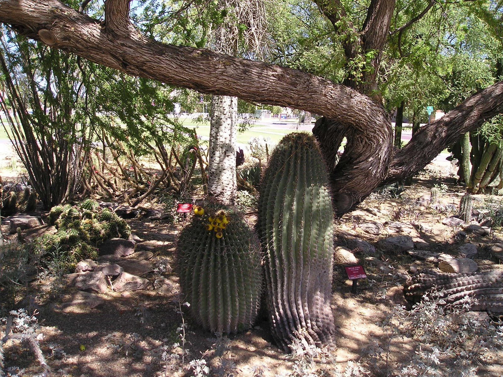 [P5300796.JPG]