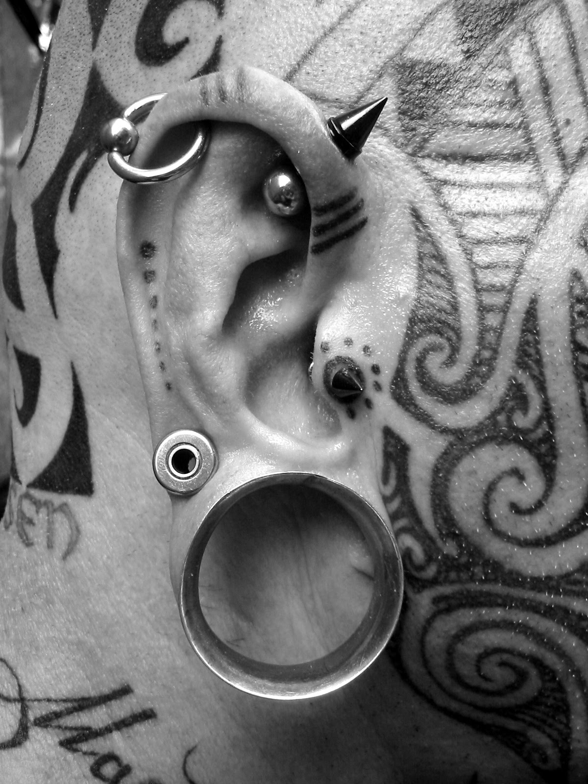 [Modified_ear.jpg]