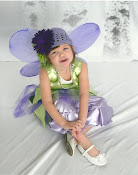 Hayden the Fairy