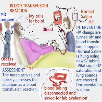 Blood Transfusion Reaction Labs