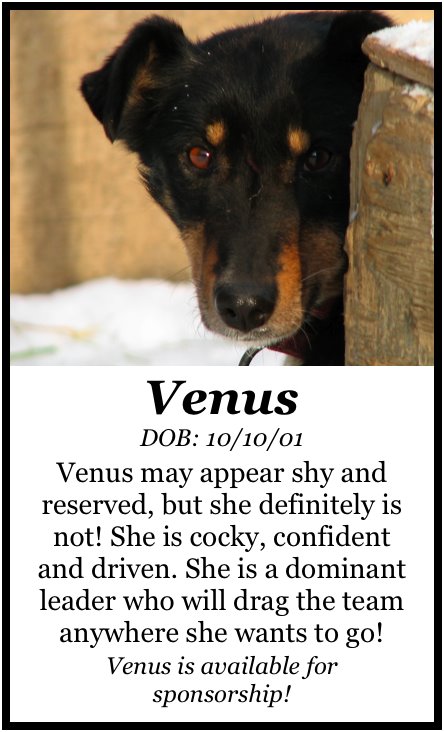 [VenusPoster.jpg]