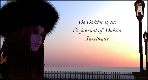 De Doktor iz in: De journal uf Doktor Sweetwater