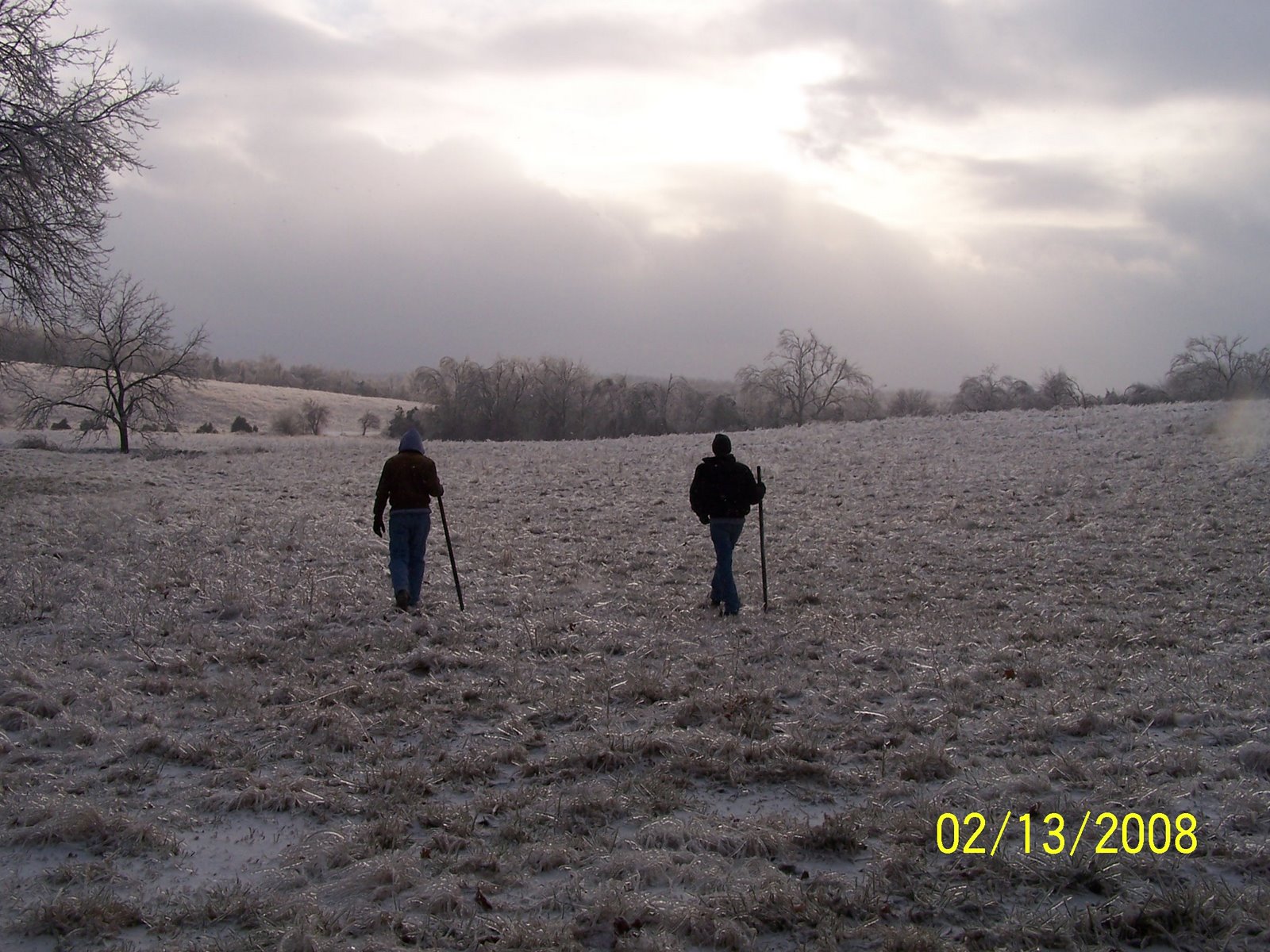 [Ice+Storm+2008006.JPG]