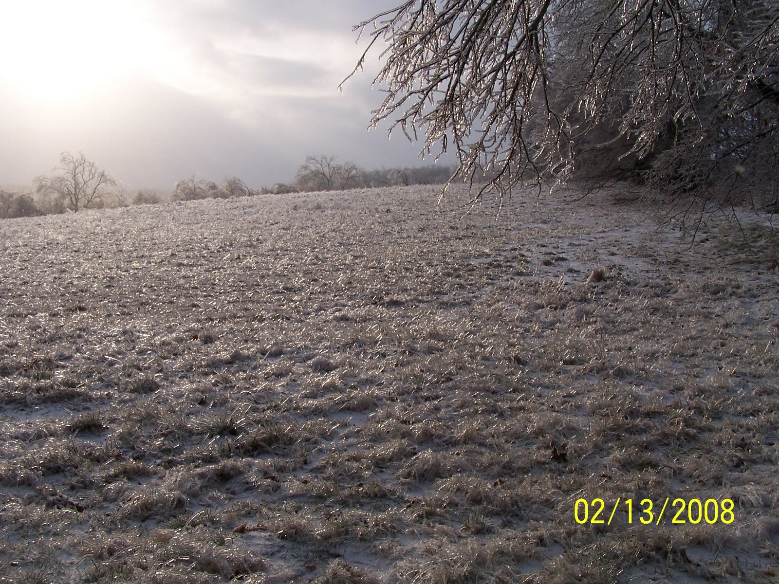 [Ice+Storm+2008004.JPG]
