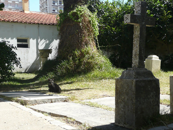 Capella dos Ossos. Faro, Portugal (fotos de Patri y Alex)