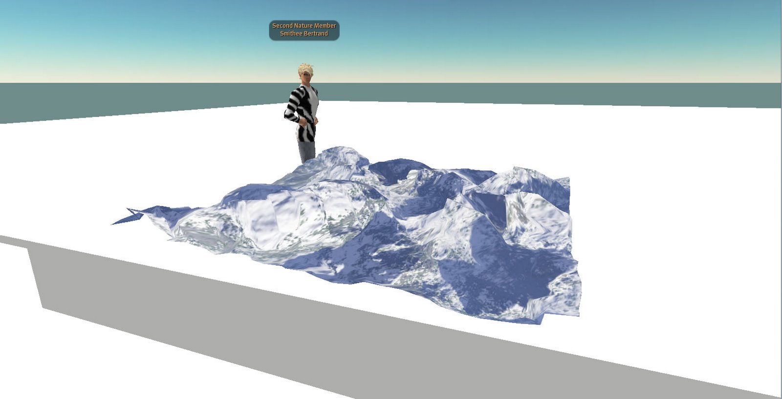 [secondlifeterrain.jpg]