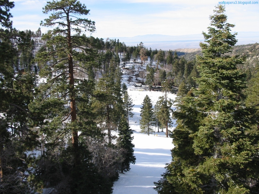 wallpaper: Winter Season Wallpapers 4