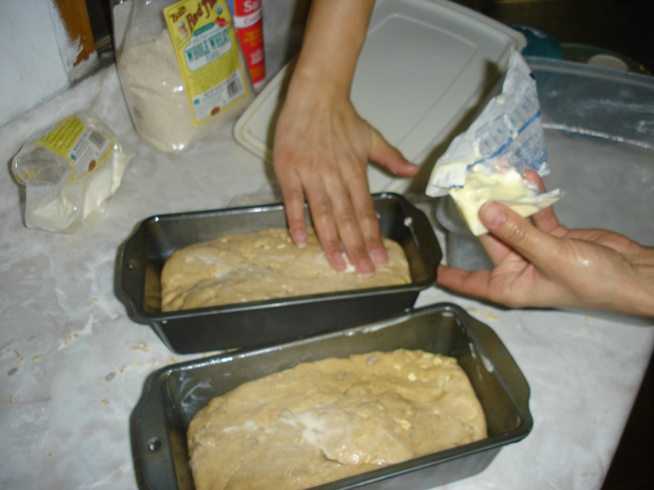 [DSC04456.JPG]