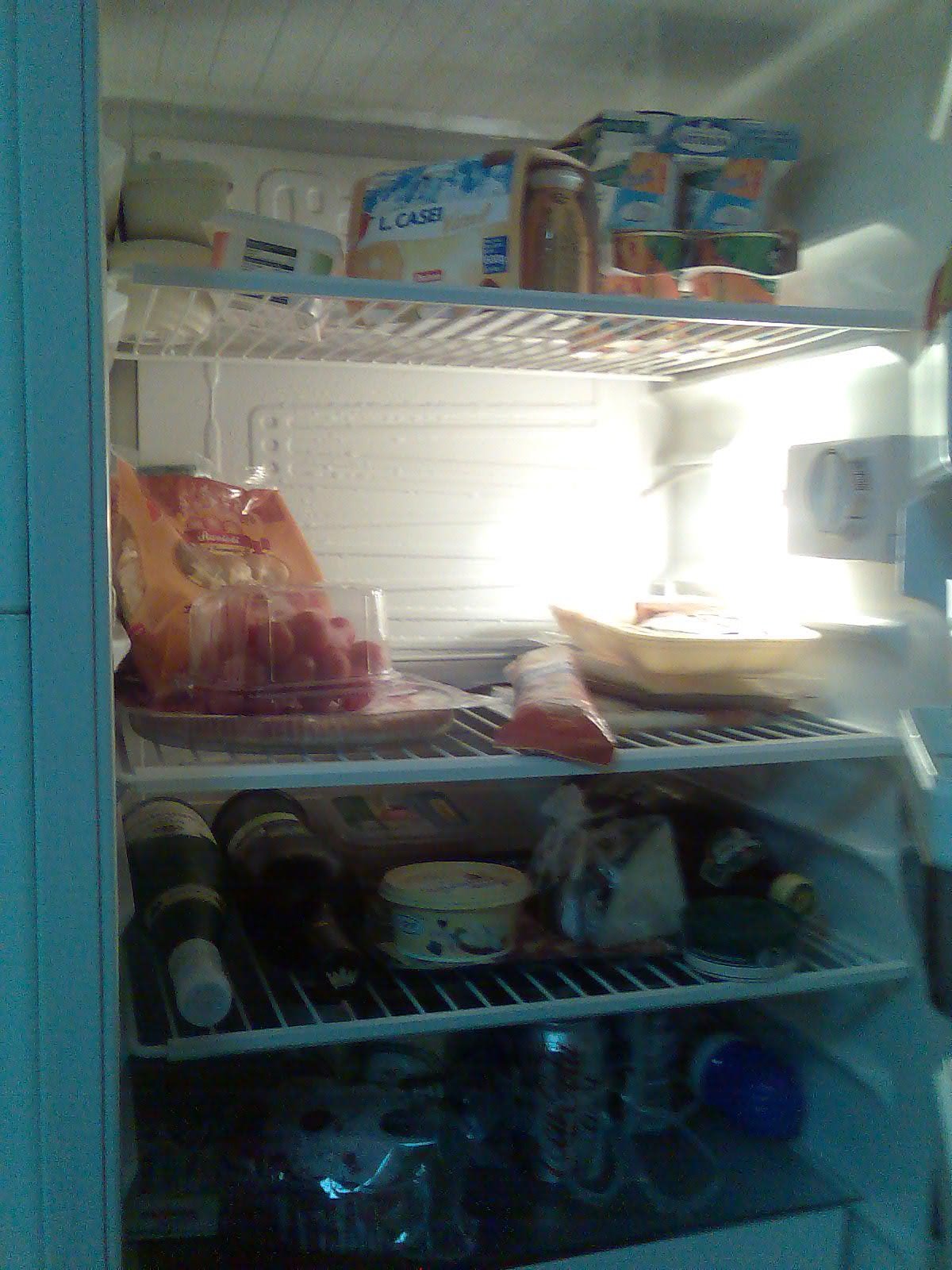 [My+fridge.JPG]
