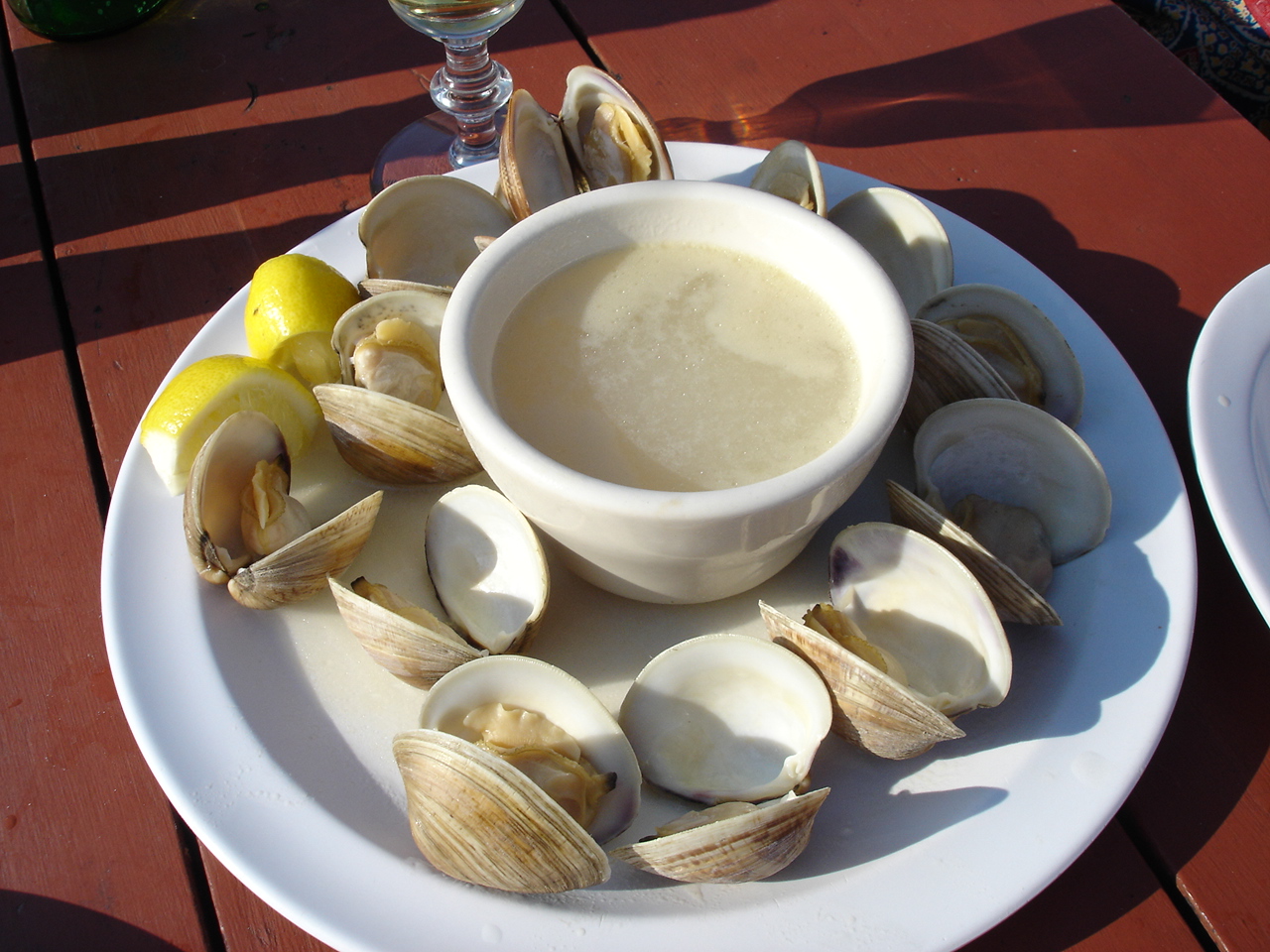 [DSC03887.JPG]