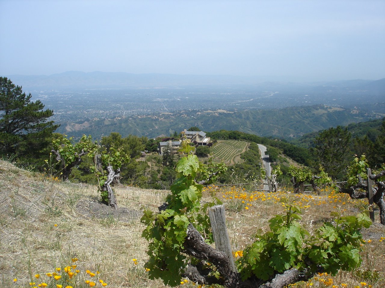 [DSC04876.JPG]