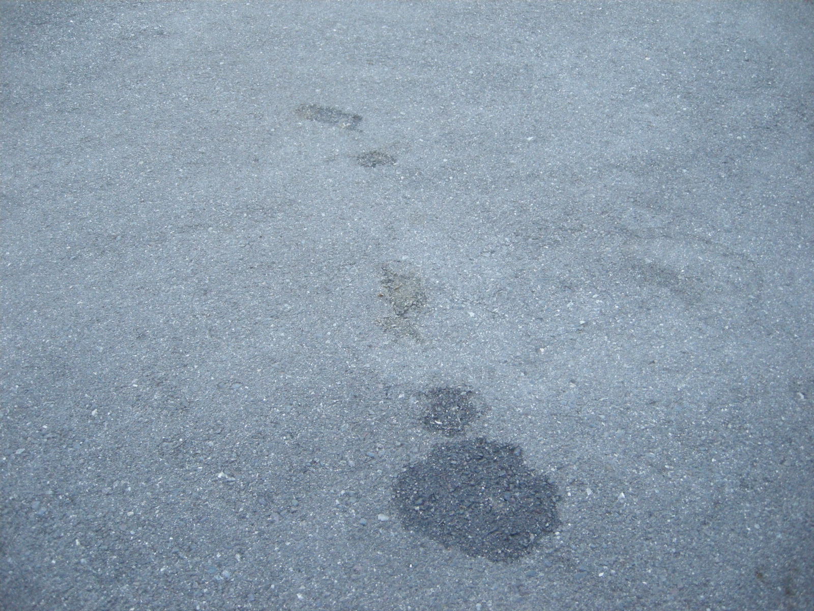 [DSCN2157.JPG]
