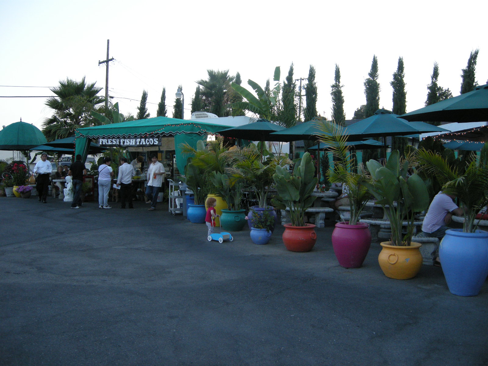 [DSCN2163.JPG]