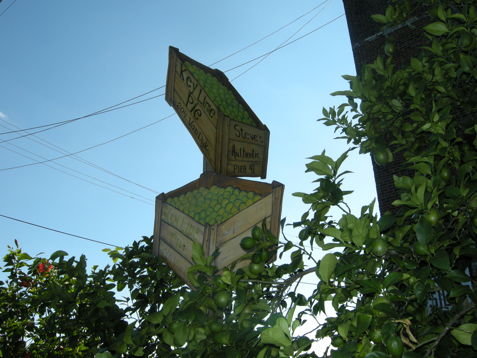 [DSCN2310.JPG]