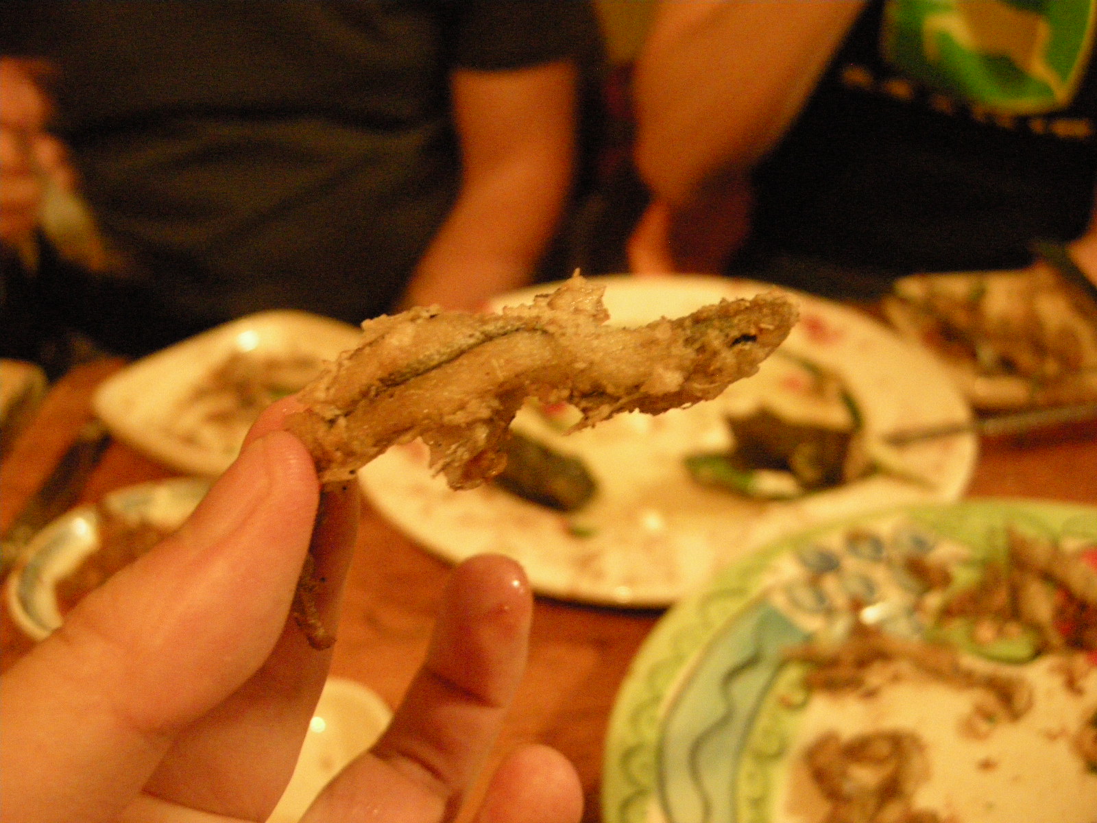 [DSCN2516.JPG]