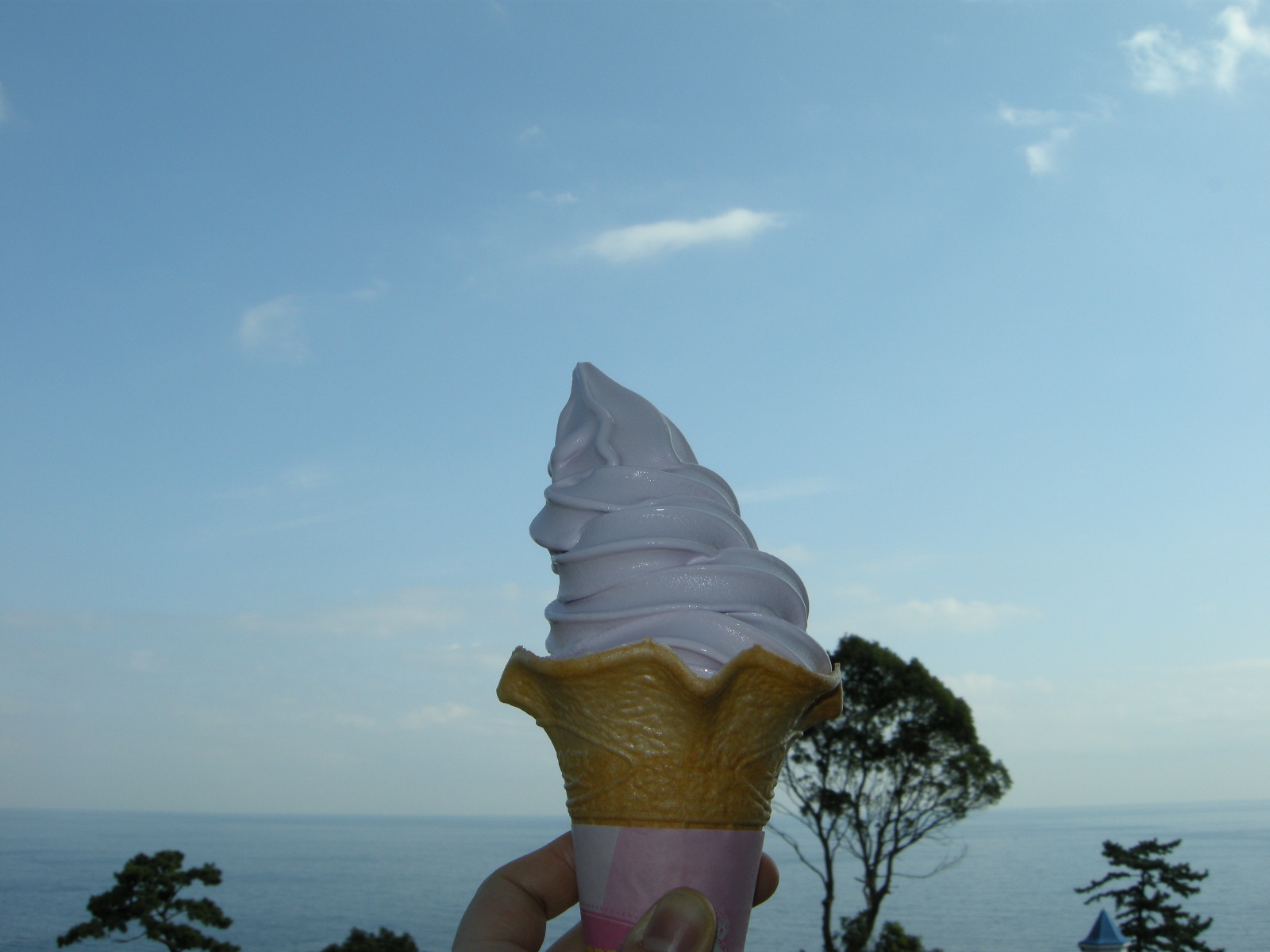 [DSCN2843.JPG]