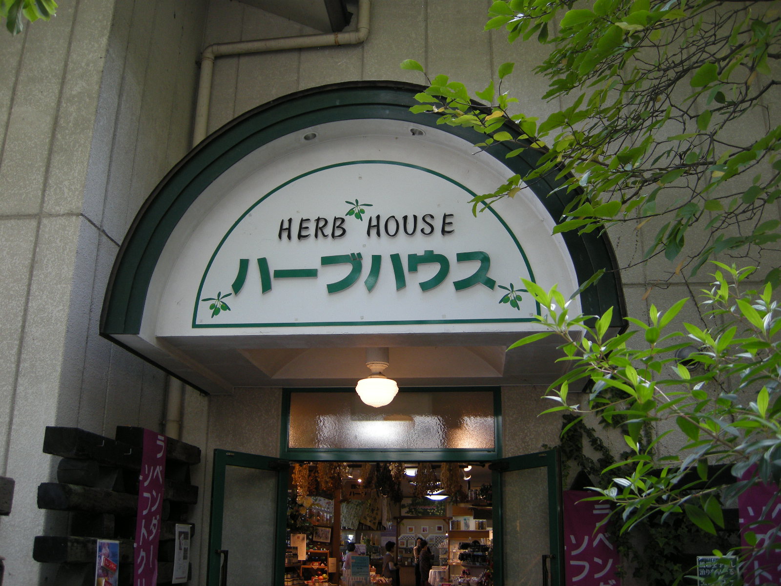[DSCN2844.JPG]