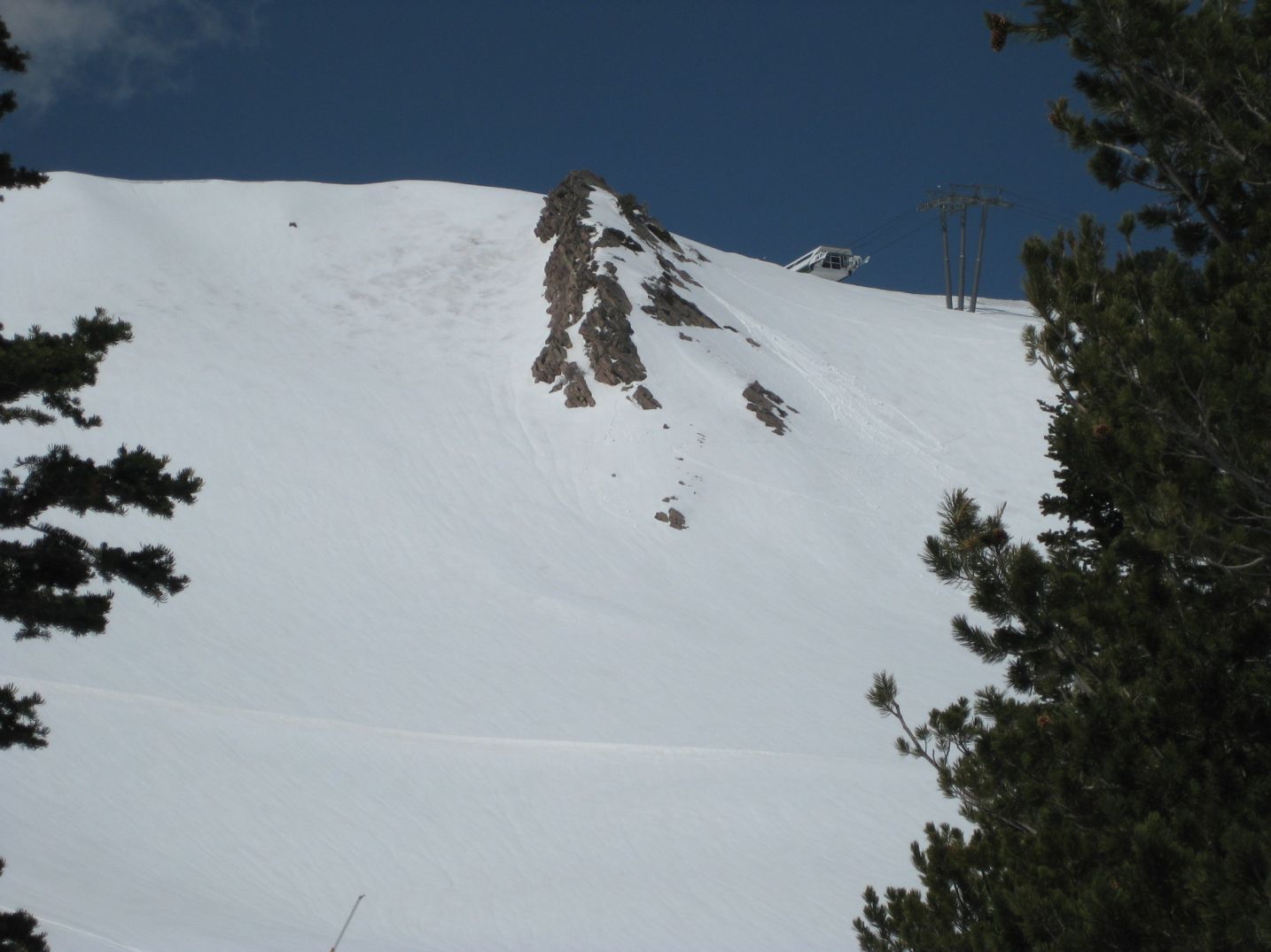 The Mighty Skunk Tracks of the Rare Alpine Skunk Spotted at Snowbasin