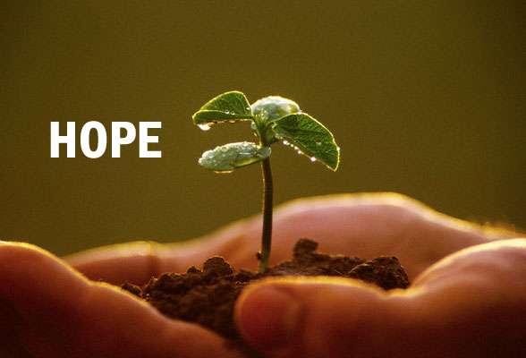 Hope …