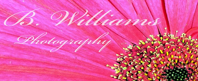 B. Williams Photography