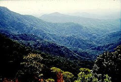 Sierra Madre del Sur