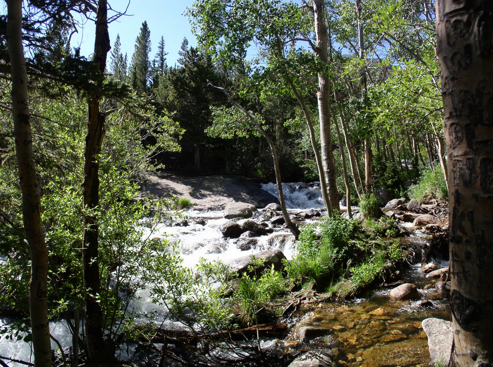 Alberta Falls Colorado