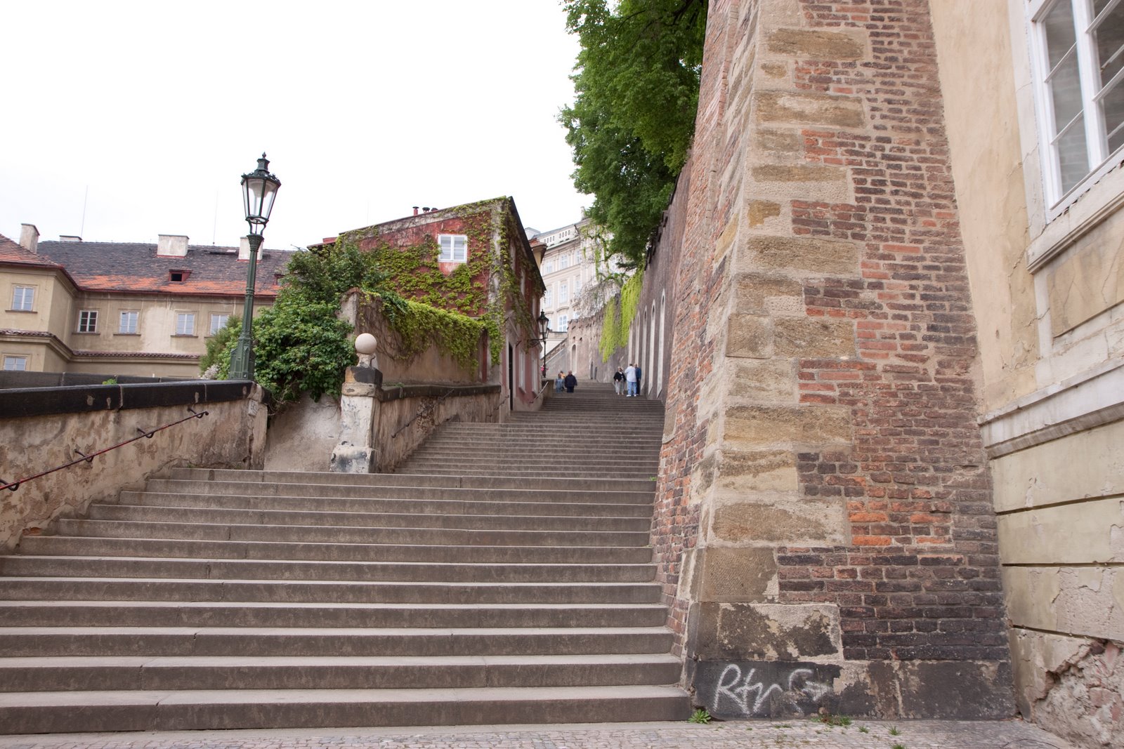 [20090429-20090429-IMG_1353.jpg]