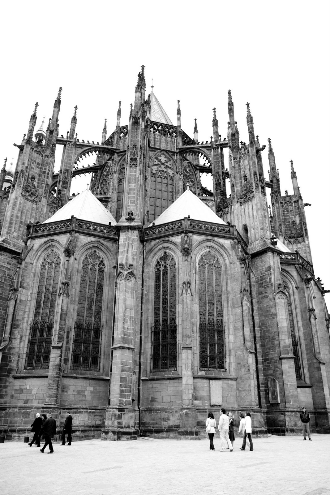 [20090429-20090429-IMG_1382.jpg]