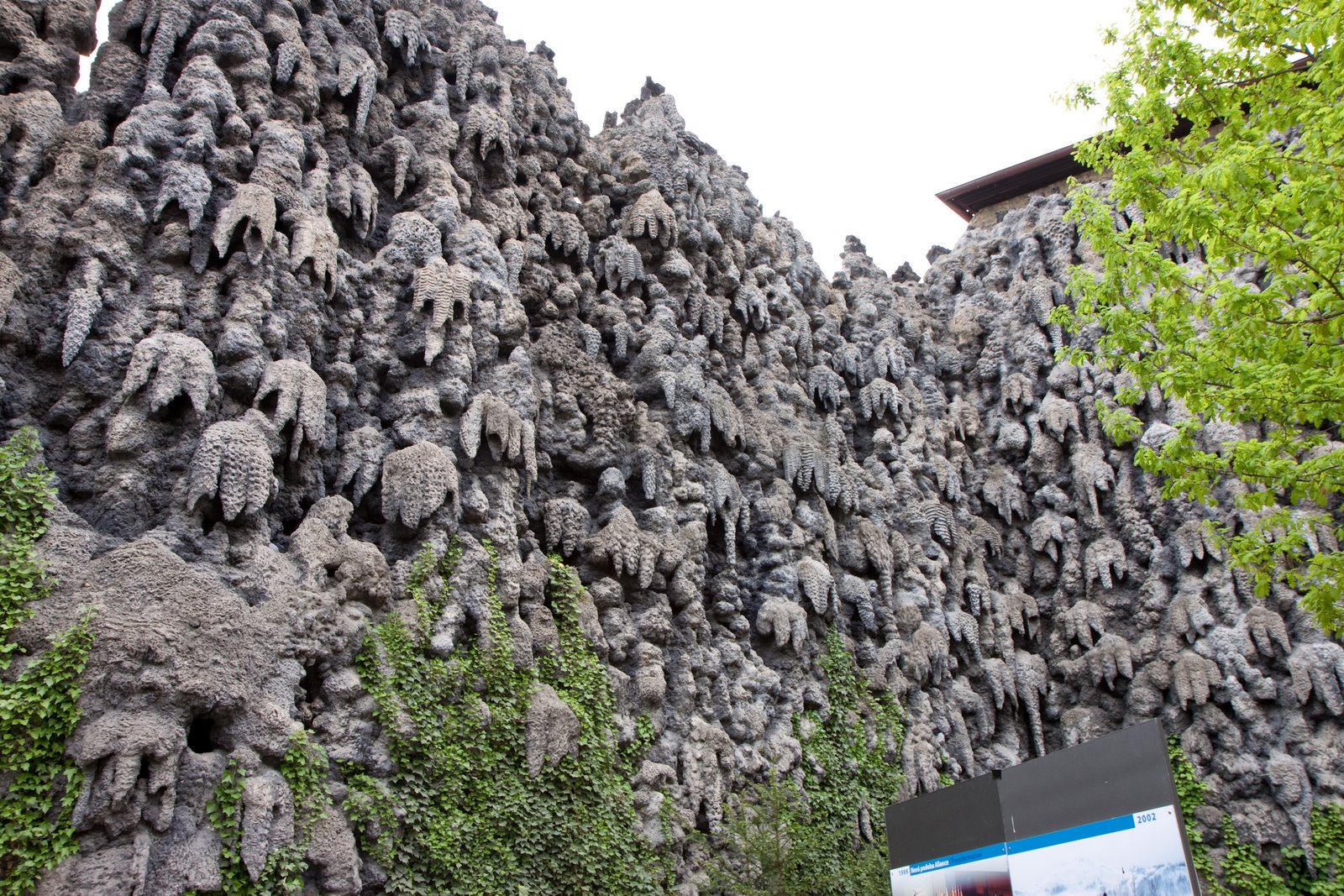 [20090429-20090429-IMG_1339.jpg]