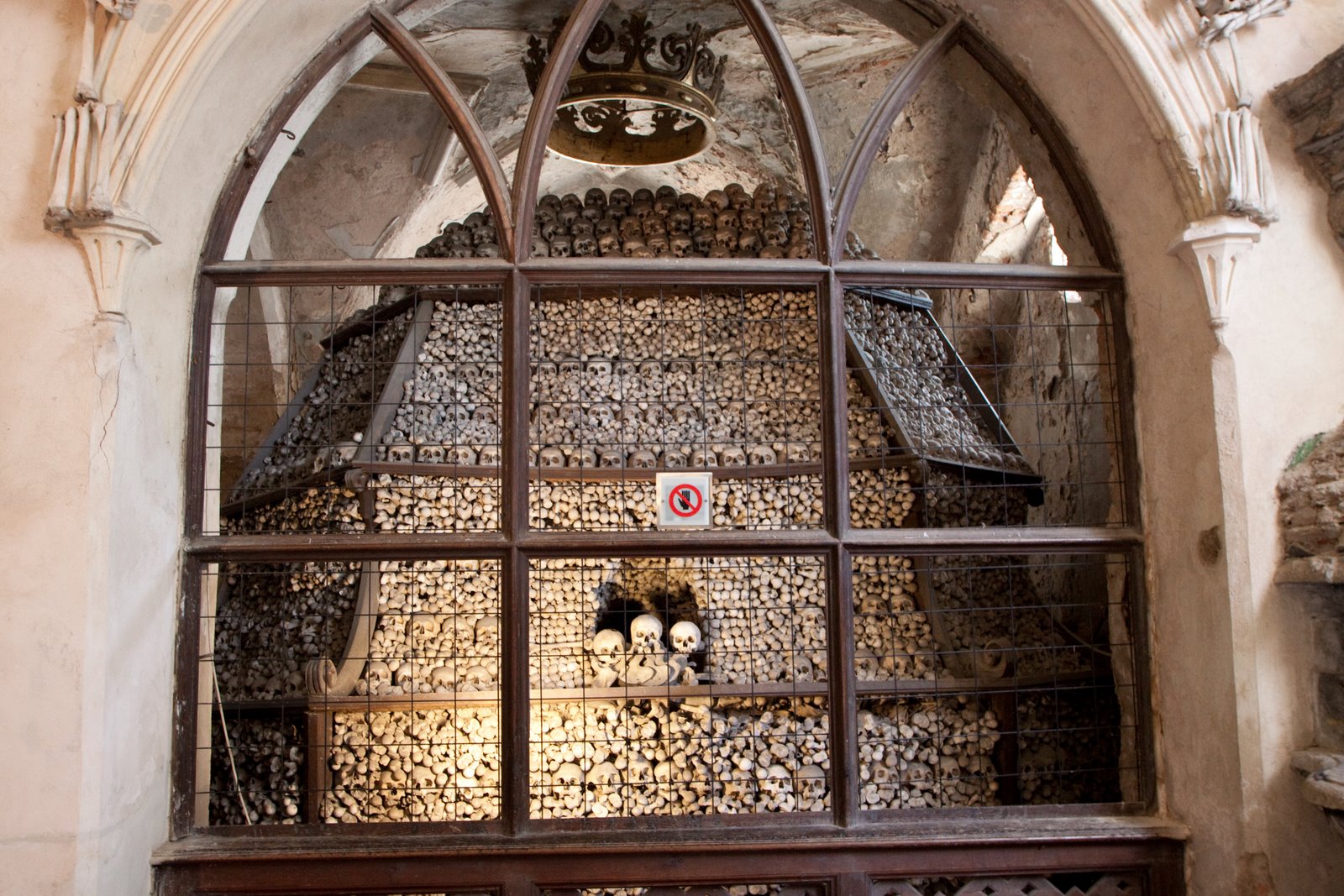 [20090428-20090428-IMG_0977.jpg]