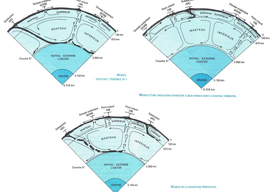 Blog SVT Evolution des modèles de convection mantellique