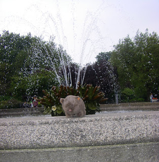 The Wombat at St Stephen's Green
