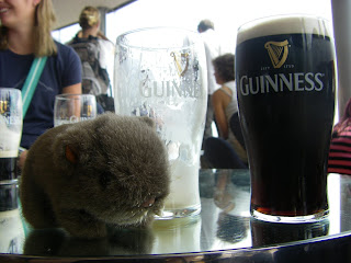 The Wombat with a Guinness moustache