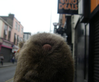 The Wombat on O'Connell Street