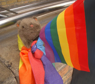 The Wombat with a Pride flag