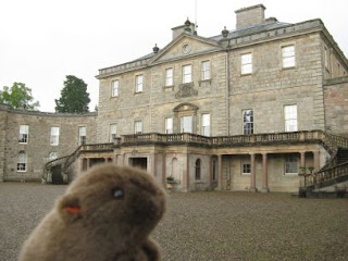 The Wombat at Haddo House