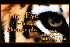 TigerEye Freelance Photography Australia
