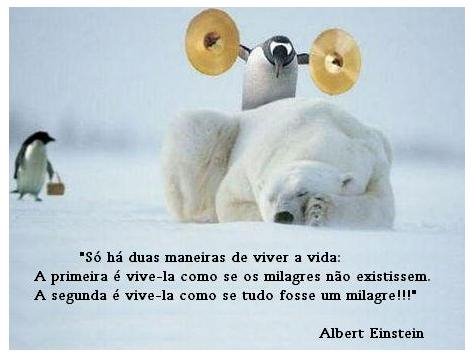 [URSO.bmp]